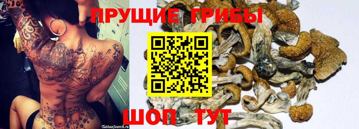 Бердск  Галлюциногенные грибы MAGIC MUSHROOMS  Вход с VPN 